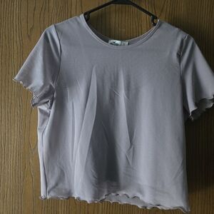 Hollister Light Purple Short Sleeve Top